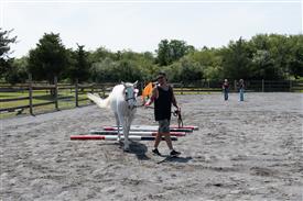 LR-WRF 08022025-Retreat-3329